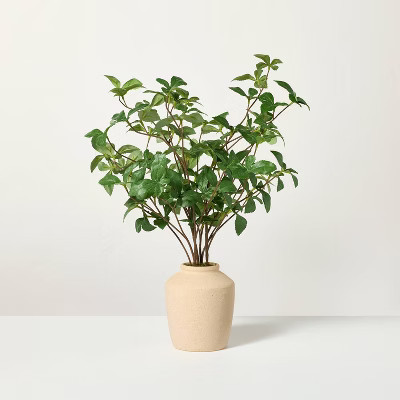 17" Faux Gypsophila Leaf Plant - Hearth & Hand™ with Magnolia | Target