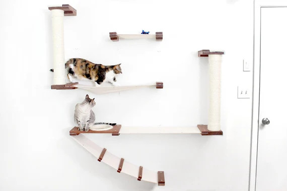 Cat Mod - Roman | Etsy (US)