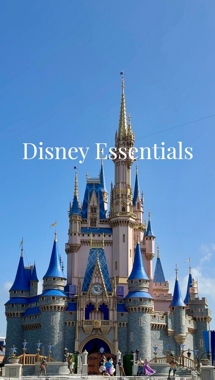Must-have Disney essentials 

#LTKKids #LTKTravel #LTKmomlife
