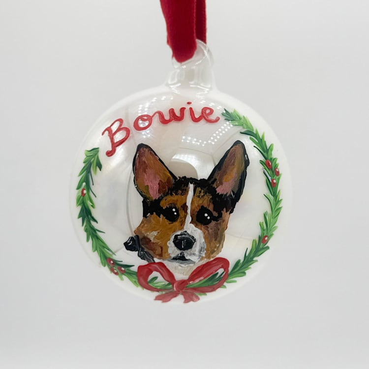 Custom Hand-Painted Pet Ornaments with Large Name | Minted