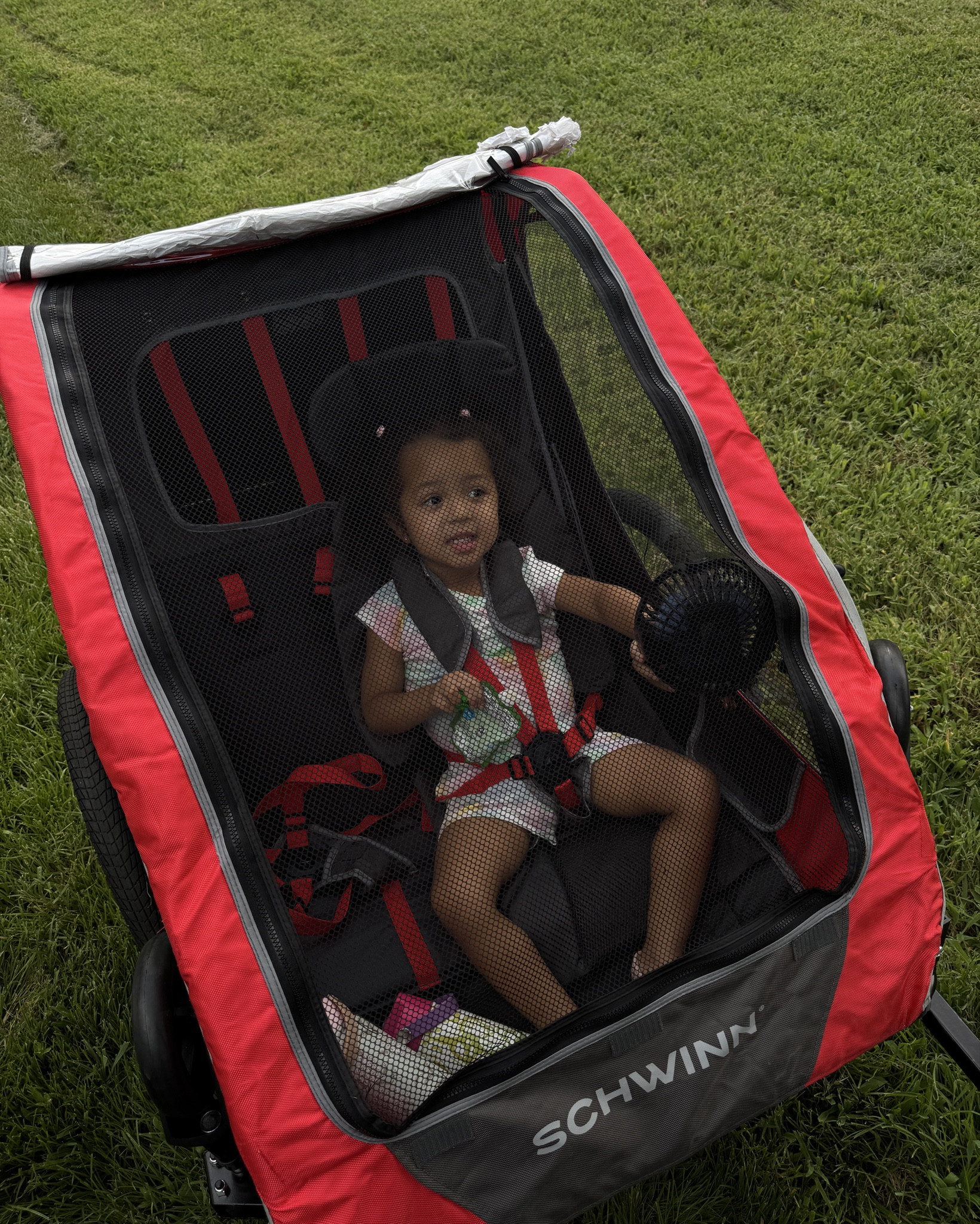 We took the cutest little family bike ride and I had to round up our must-haves 🚲✨ From the best water bottle to the comfiest bike and the wagon that saved the day—it’s all linked in my LTK!
Check it out—your next ride will thank you.

#LTKSeasonal #LTKActive #LTKU