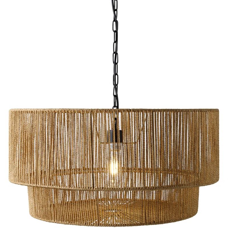 Devonya Single Light Pendant | Wayfair North America