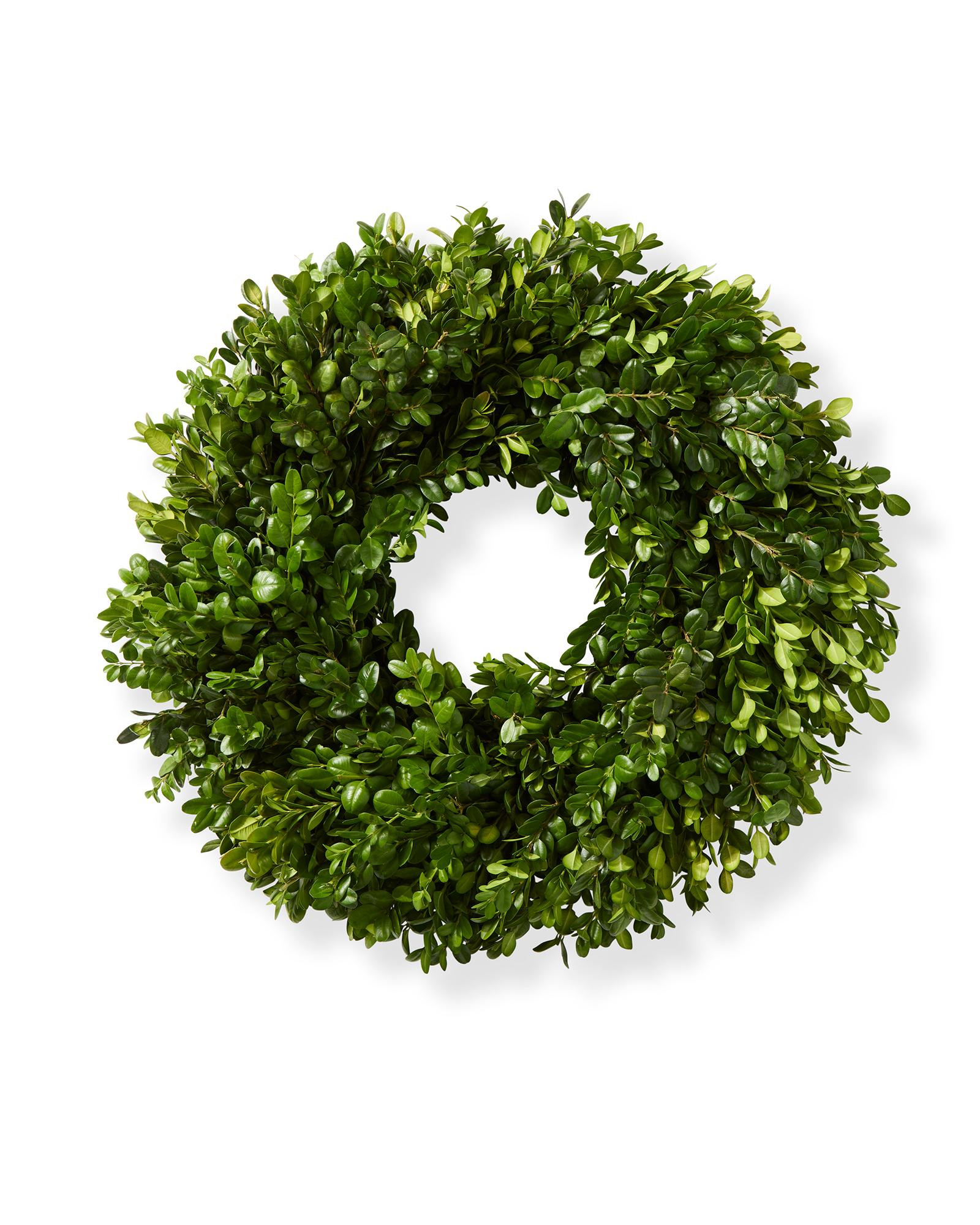 Boxwood Wreath | Serena and Lily