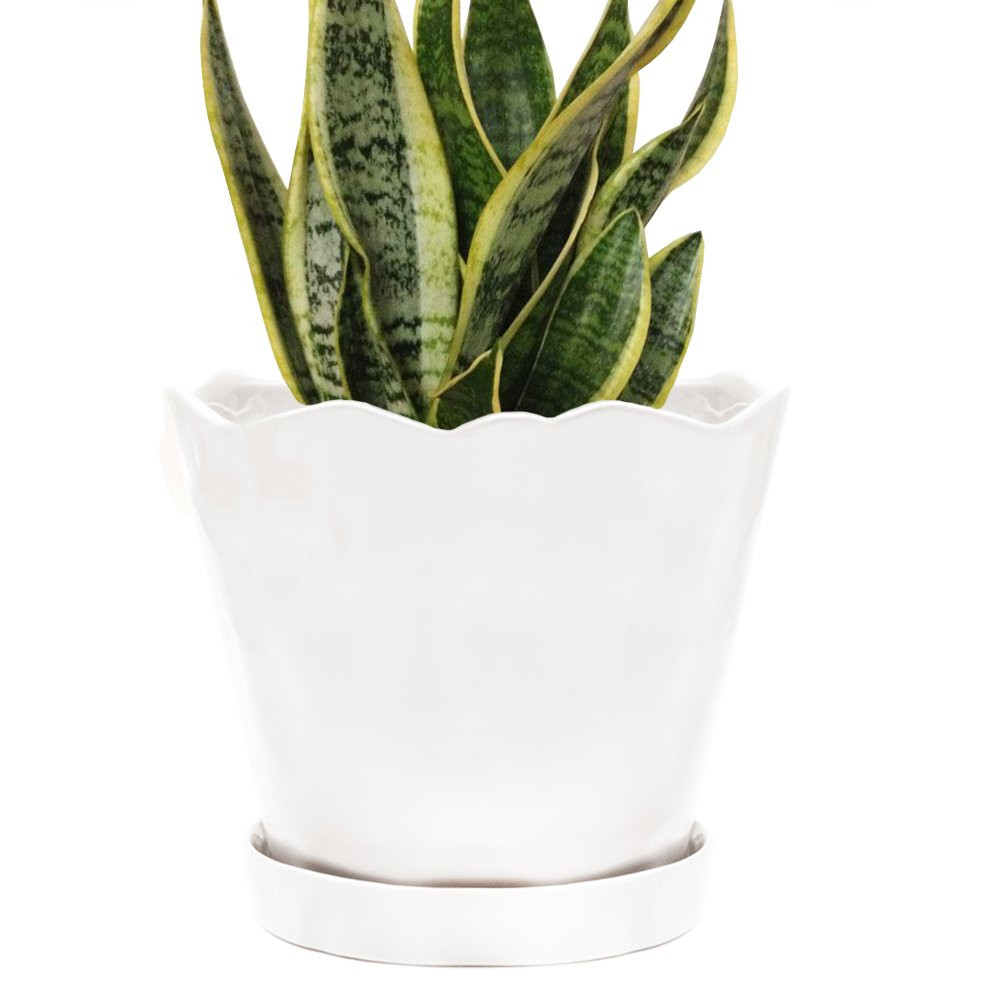 CHIVE ‘Tika’ Ceramic Planter Pot — Large 8" Succulent Pots for Indoor & Outdoor House Plant... | Amazon (US)