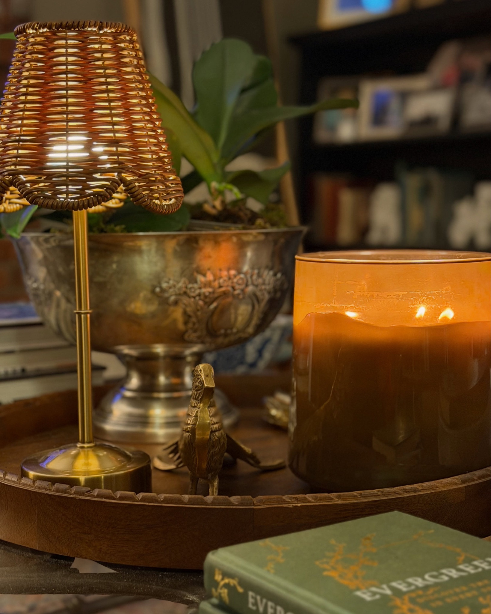 I’m home after 2.5 weeks in Michigan with my son, daughter-in-law, and sweet granddaughter. 💗 Leaving them was NOT easy, but coming home knowing my favorite season is beginning definitely gave me something to look forward to. 🍁🍂

I spent a little time getting the house ready for fall — adding a few autumn colors, and bringing in some real plants for a little extra life to kick off the season. 🤎

There’s something about this time of year that just makes me want to cozy everything up, grab a cup of coffee and slow down a little. 

Missing my Michigan people, but feeling very happy to be home… and very ready for fall. 🍂☕️🤎

Comment SHOP for links to all I could find!🏠

#fallvibes #home #cozyhome #falldecor #maximalistinteriors