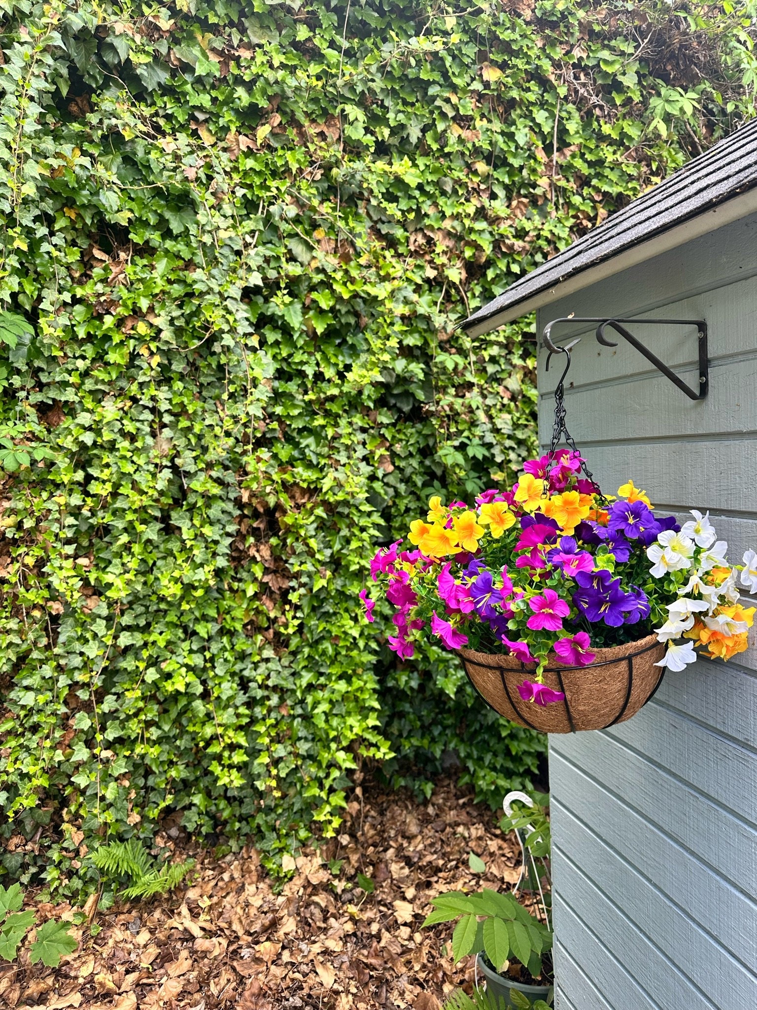 Love these!! No upkeep. My fave

#LTKmomlife #LTKMothersDay #LTKHome