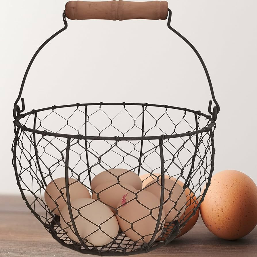 TAIANLE.Farmhouse Wire Egg Basket for Gathering Fresh Eggs with Handle,Round Metal Egg Collecting... | Amazon (US)