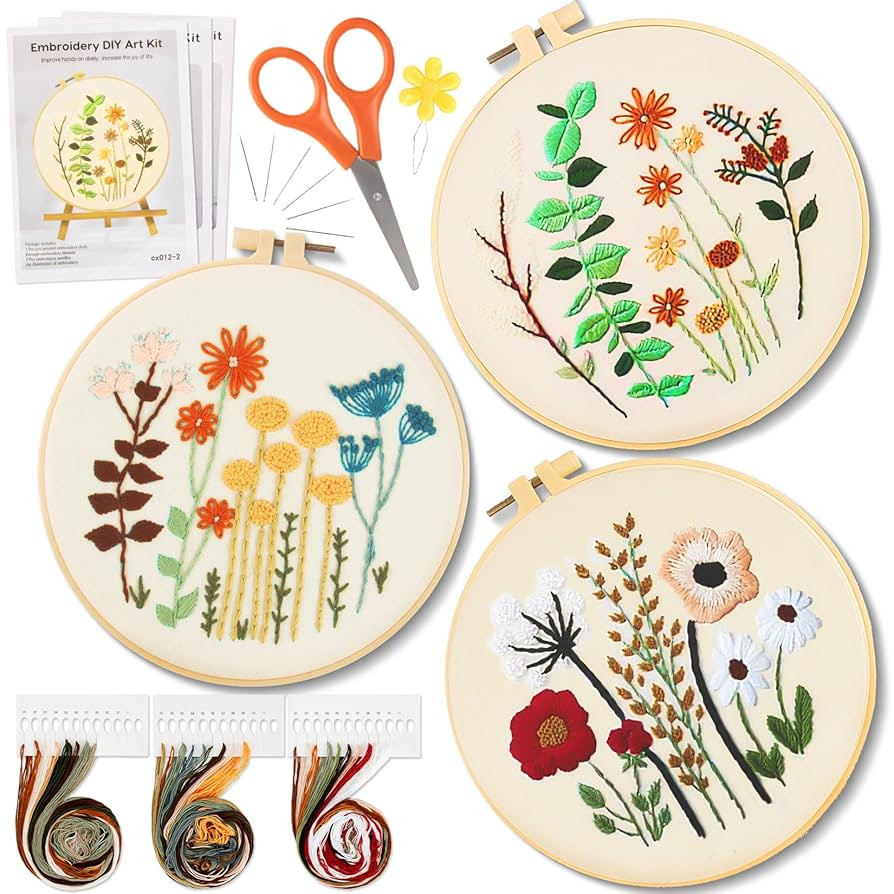 RAINFLOW Embroidery Kit for Beginners 3 Sets Stamped Cross Stitch Kits,Needle Point Kits Adults B... | Amazon (US)