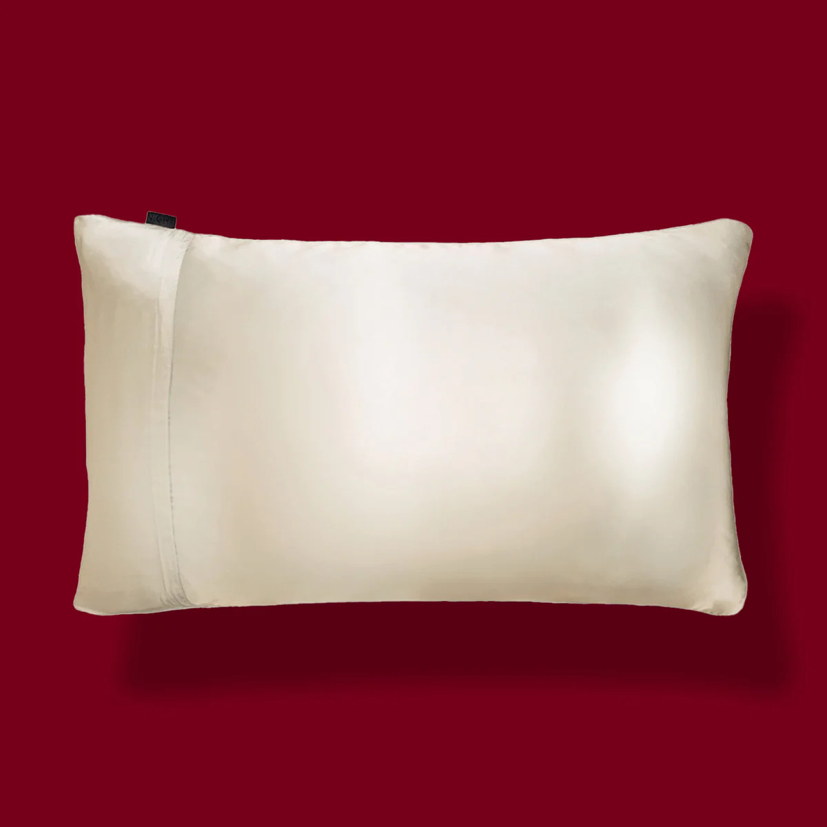 Silk Pillowcase, TriSilk, Zipper | DISCOVER NIGHT