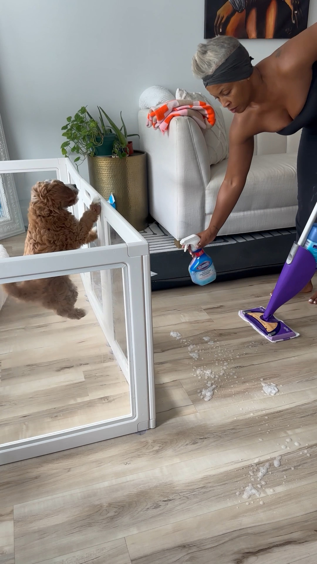 At-home pet essentials in cleaning around his pet apartment.

#PetMustHaves #PetEssentials #xoJalonda #DogMomLove #DogMomLife

#LTKHome #LTKmorningroutine #LTKmomlife