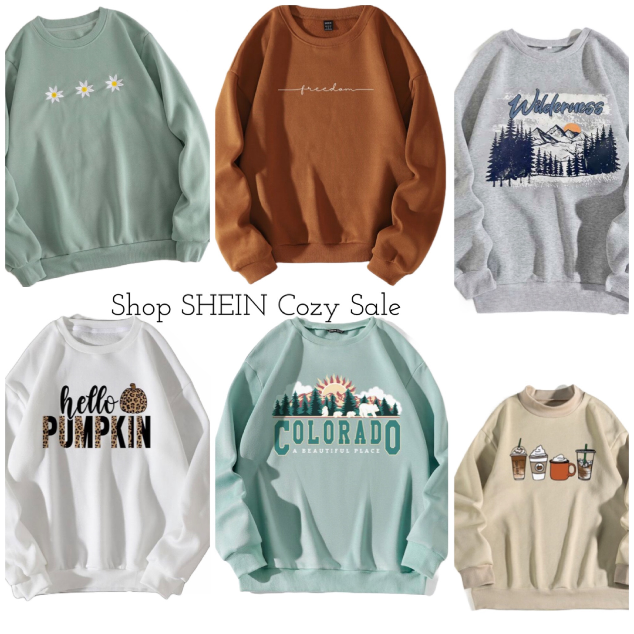 Sweatshirts on sale at SHEIN for extra 30%off 

#LTKfit #LTKSeasonal #LTKsalealert