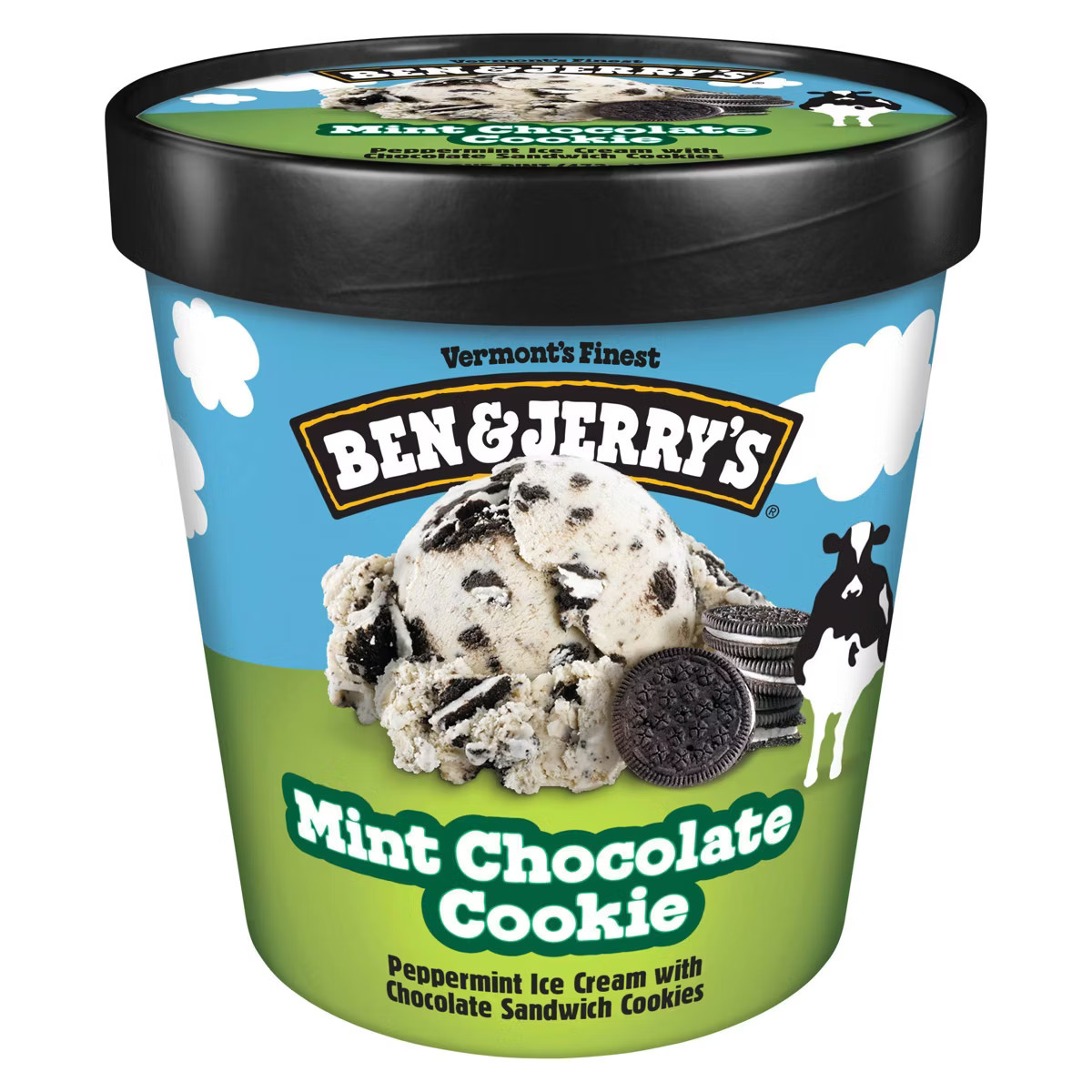 Ben & Jerry's Mint Chocolate Cookie Ice Cream - 16oz | Target
