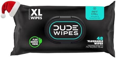 DUDE Wipes - Flushable Wipes Stocking Stuffers - 1 Pack, 48 Count - Mint Chill - Vitamin-E, Aloe,... | Amazon (US)