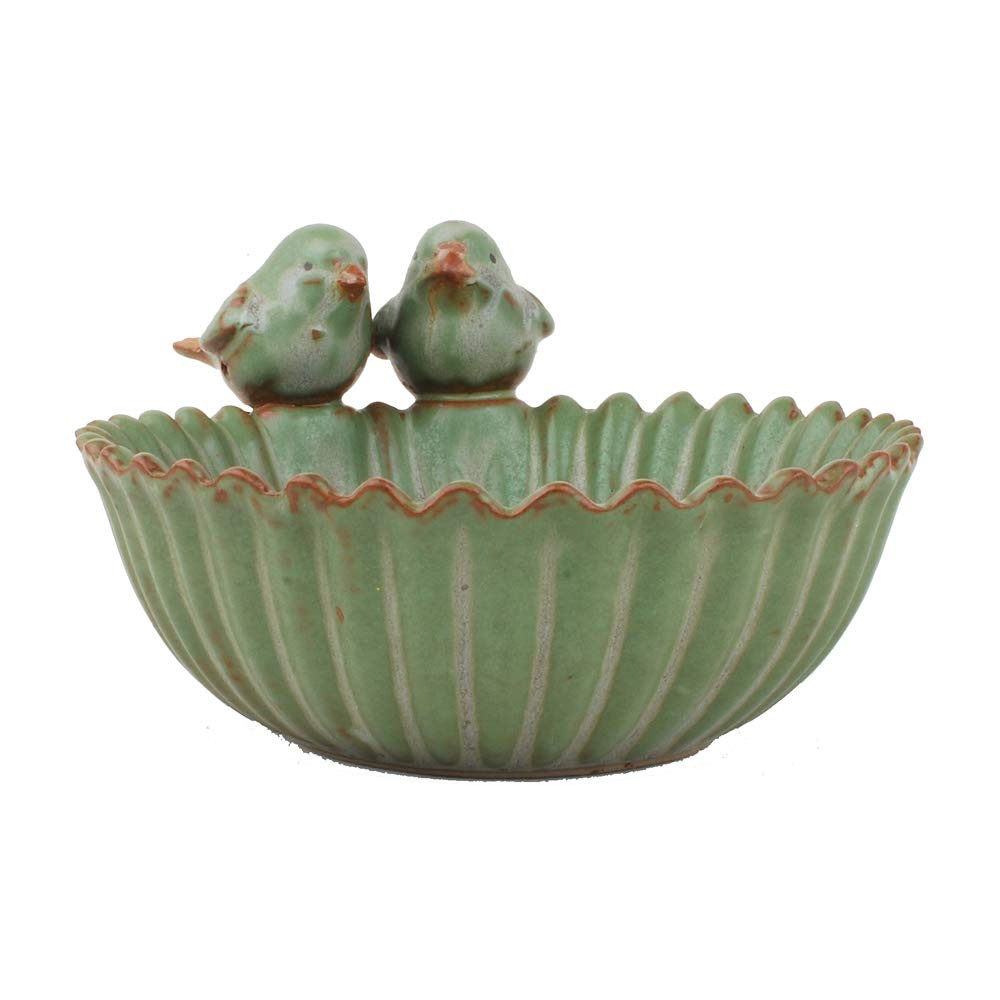 NWFashion Special Design Fun Garden 6INCH Flower Planter Succulent Pot Indoor OutdoorPlanter (Bir... | Amazon (US)