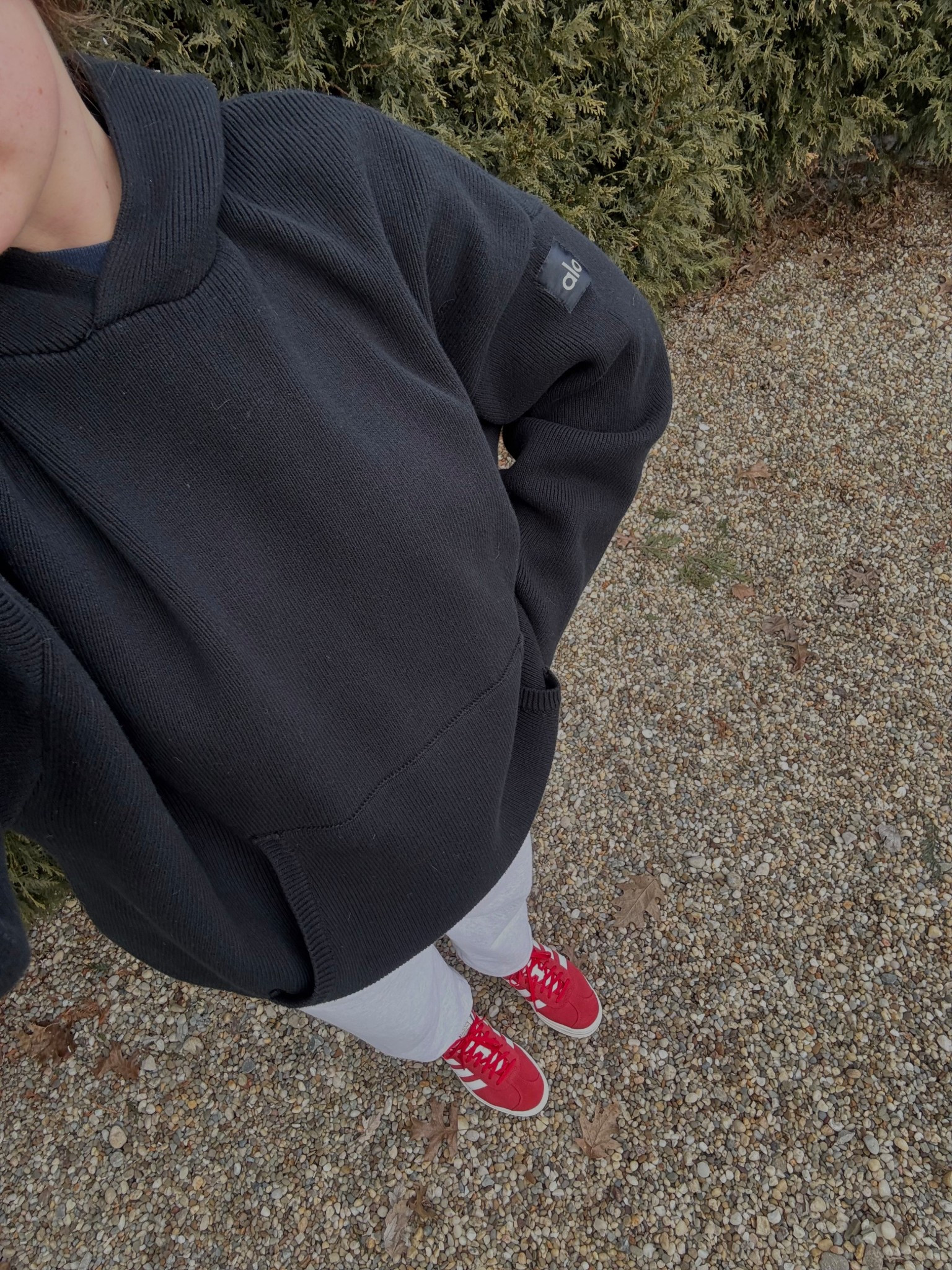 conch alo scholar hoodie - it’s like knit material - feels like a sweater!
grey sweatpants that go with everything! 
pop of color with my red platform gazelles 


#LTKStyleTip #LTKPetite #LTKActive