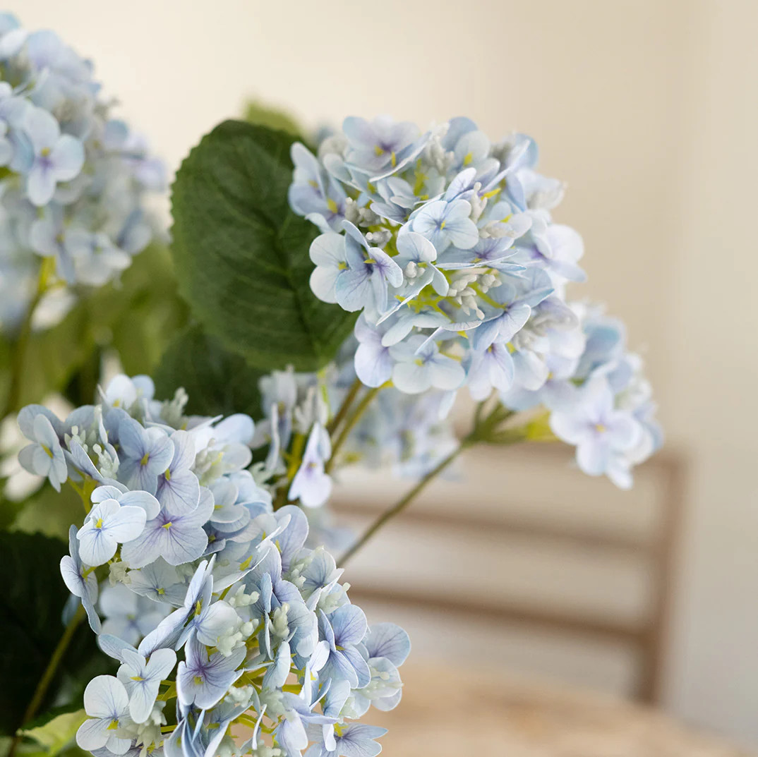 Coastal Hydrangea | Elements by Remedy