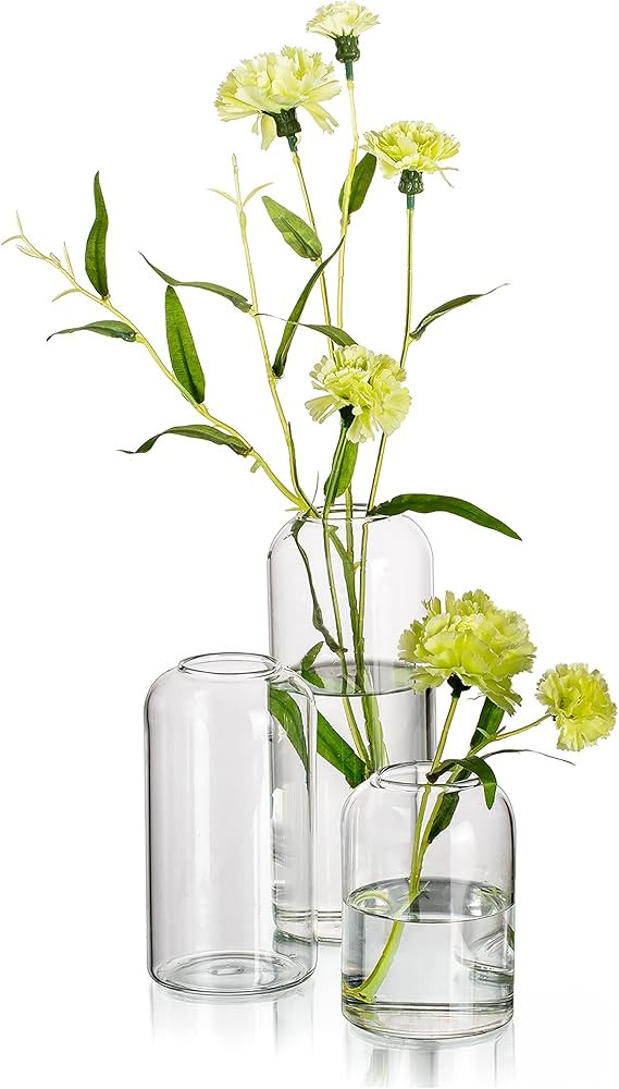 Glass Bud Vases for Flowers - Hewory Blown Modern Small Glass Vases for Centerpieces Set of 3, Mi... | Amazon (US)