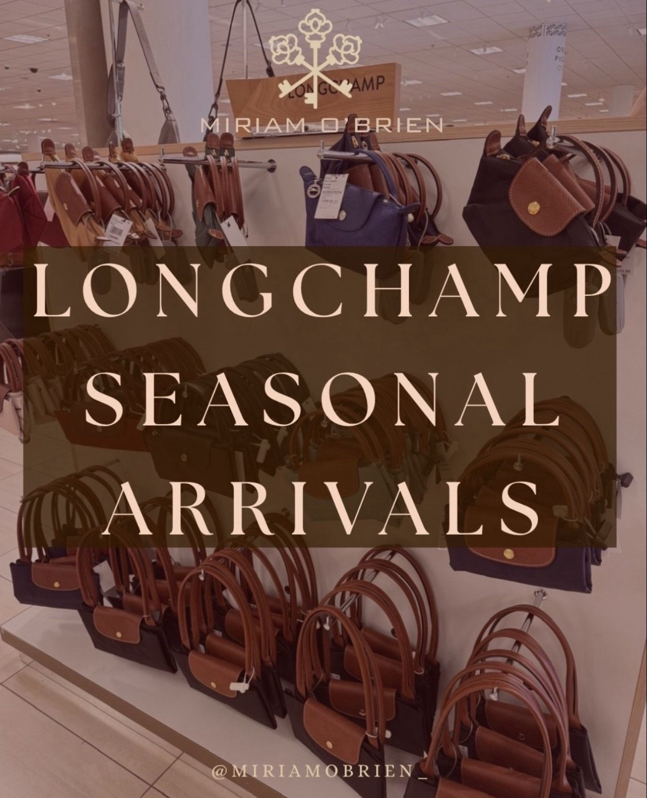 Gorgeous Seasonal Longchamp bags

Follow me at @miriamobrien_ on IG and TikTok! 

#LongchampTrendy #SeasonalLongchampBags #LongchampArrivals #SeasonalFashion 

#LTKStyleTip #LTKBeauty #LTKSeasonal

#LTKOver40 #LTKGiftGuide #LTKHoliday

#LTKSeasonal #LTKGiftGuide #LTKHoliday