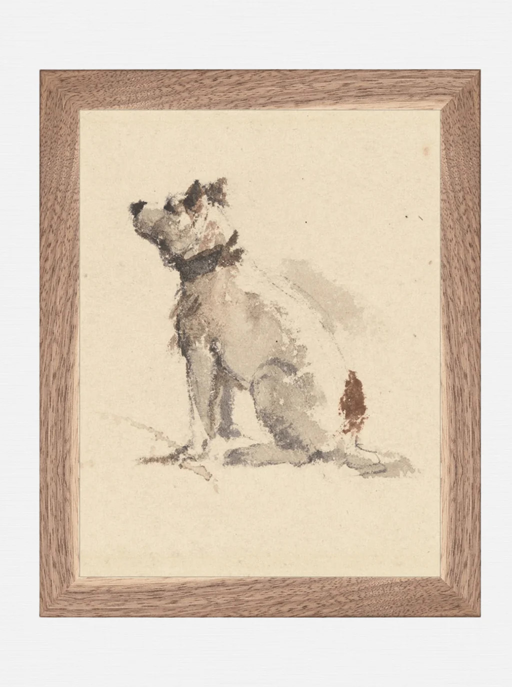 Man's Best Friend | House of Jade Home