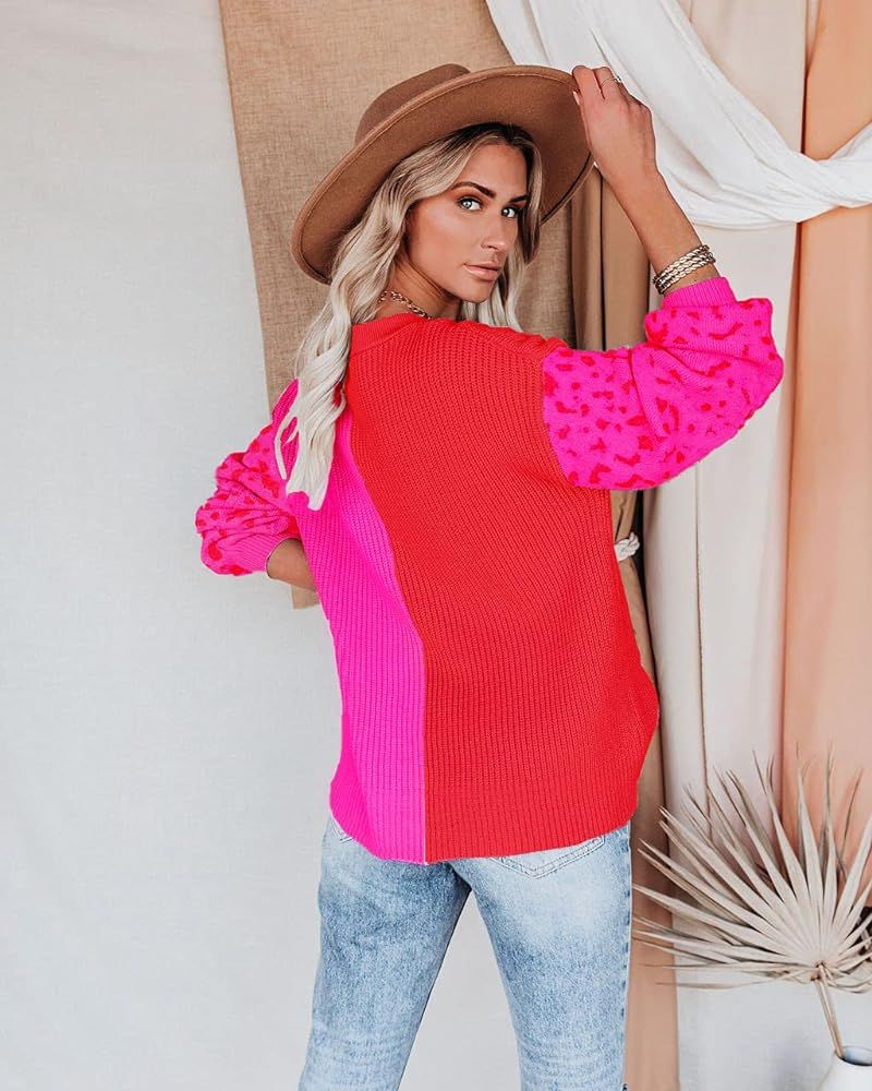 ANCAPELION Women’s V Neck Sweater Pullover Leopard Long Sleeve Basic Color Block Jumper Casual Knitt | Amazon (US)