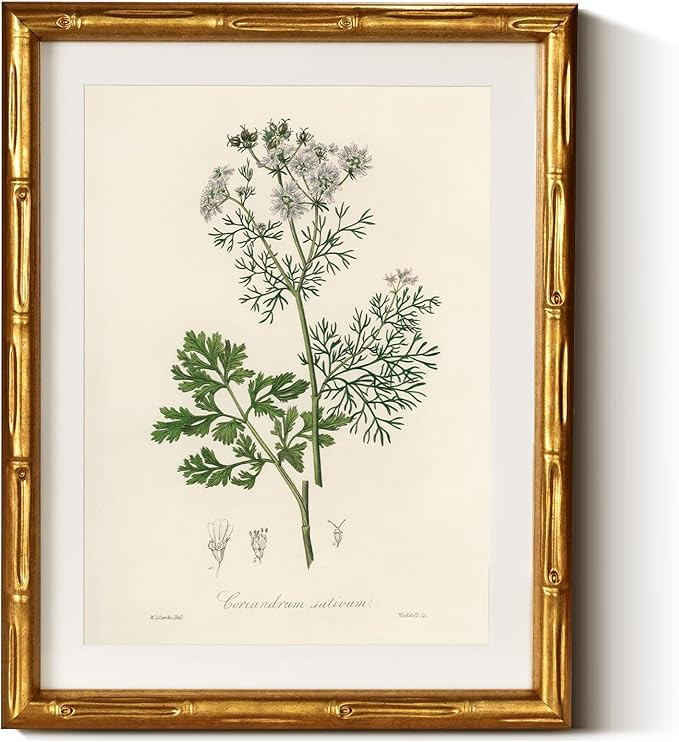 InSimSea Gold Bamboo Framed Canvas Wall Art, Plants Fern Botanical Paintings, Antique Vintage Pic... | Amazon (US)
