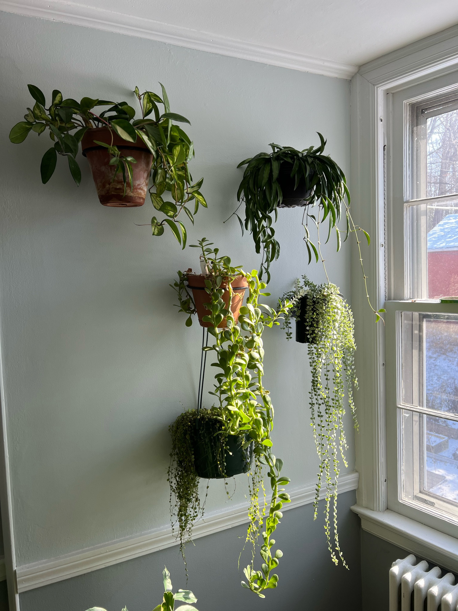 Style your home with living decor! 

#LTKhome #LTKfindsunder50 #LTKfamily