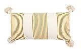 Creative Co-op Cotton & Chenille Vertical Mustard Stripes, Tassels & Solid Cream Back Pillows, Yello | Amazon (US)