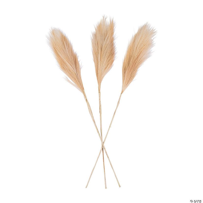 Pampas Grass - 3 Pc. | Oriental Trading Company