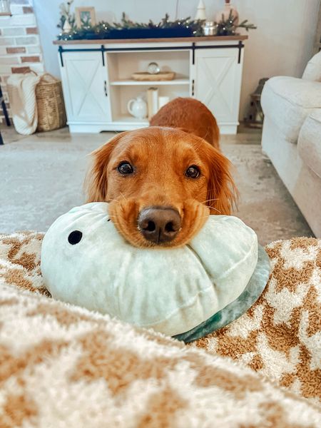 My dog is in love with her turtle Squishmallow!! - super cute from Amazon. Linking our white tv stand and farmhouse ruggable rug  

#LTKhome