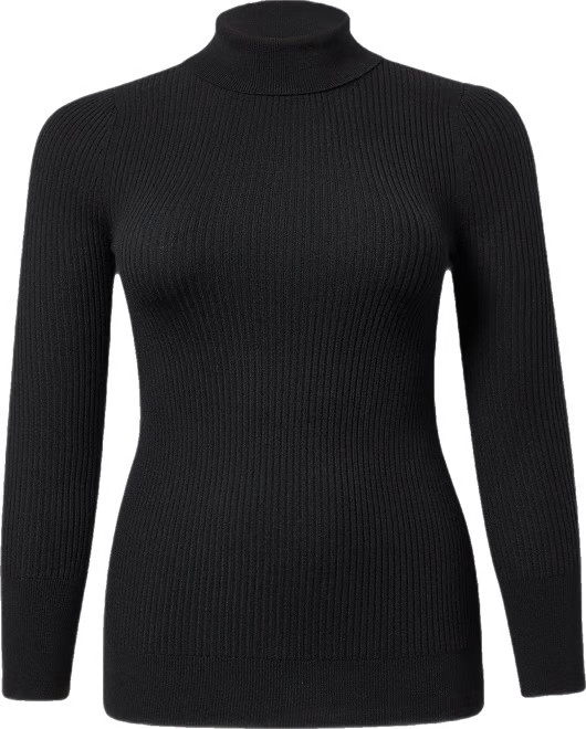 Mock Neck Ribbed Sweater | Torrid (US &amp; Canada)