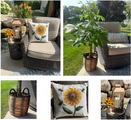 Walmart has the cutest outdoor patio decorations! I found the perfect pot for my new Costa money tree, the cutest sunflower pillow and an outdoor lantern I have been looking for! They even have the nicest outdoor rugs and so much more!

#LTKunder50 #LTKhome #LTKSeasonal