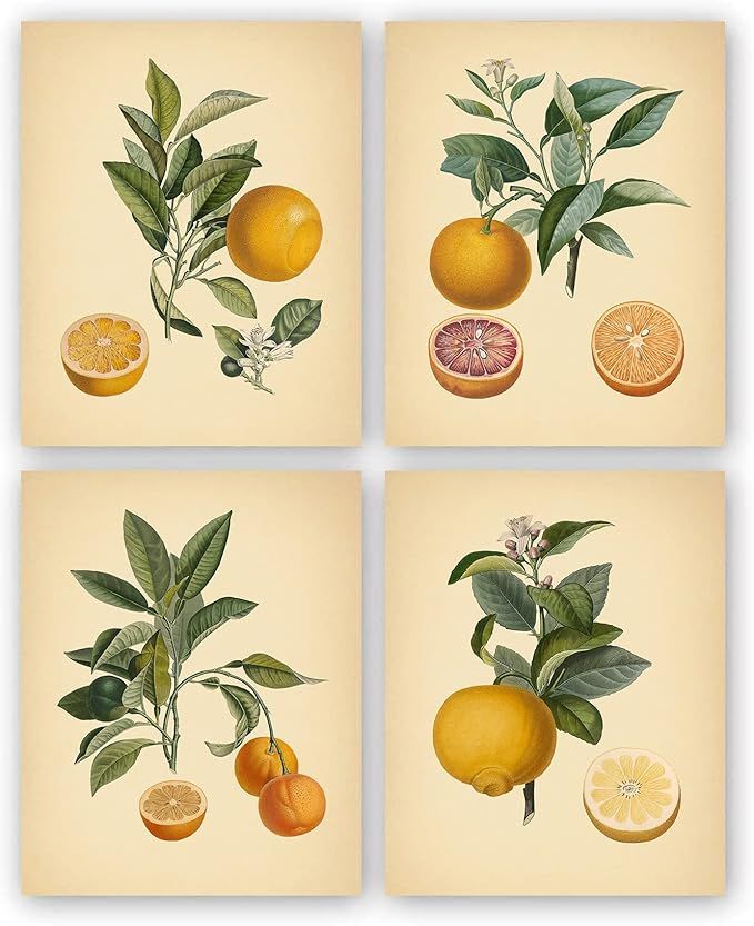 RUIYAN Vintage Kitchen Fruit Wall Art Prints, Retro Fruit Orange Canvas Wall Art, Rustic Decor Fr... | Amazon (US)