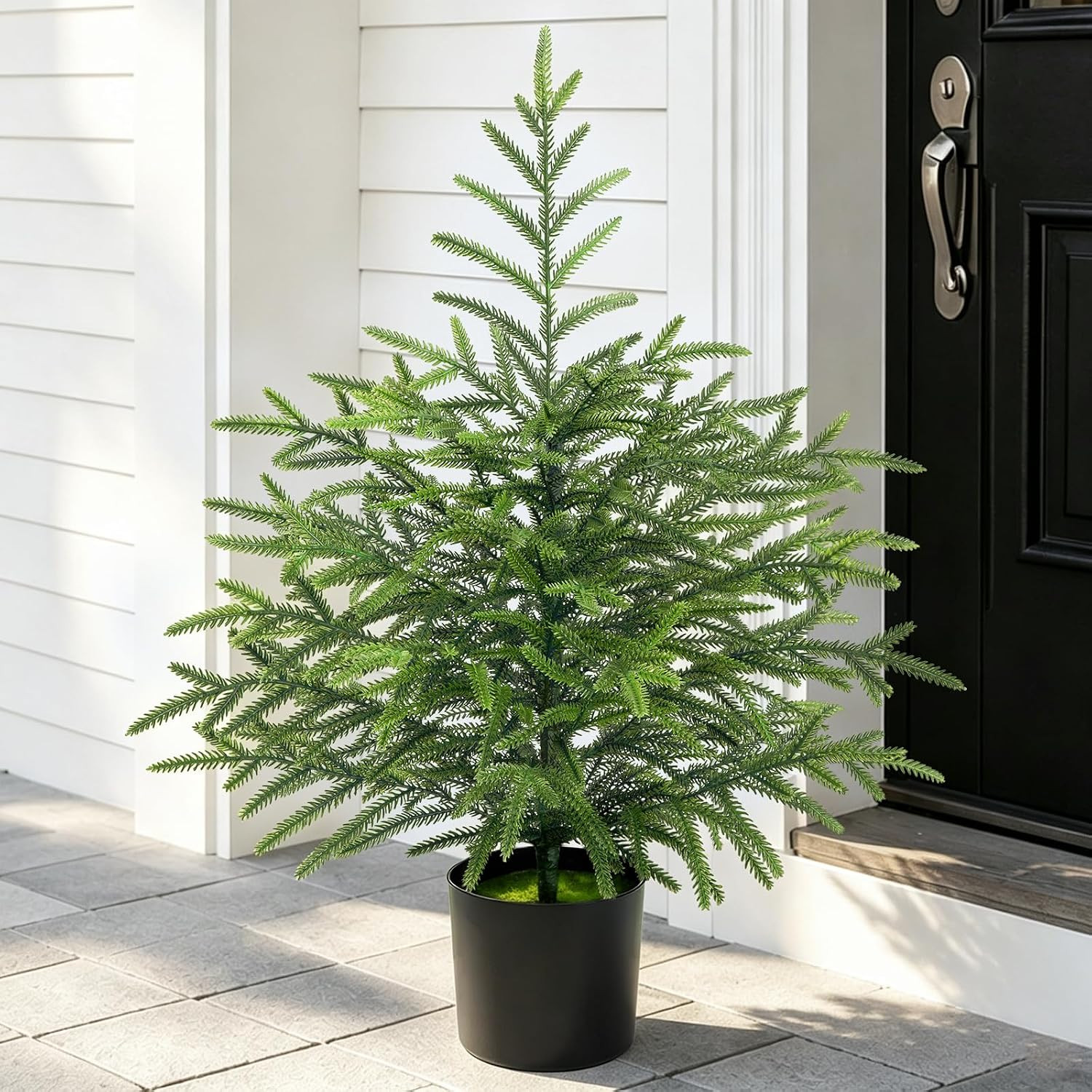 2 Ft Real Touch Christmas Tree with Lights, Realistic Norfolk Pine Tree | Amazon (US)