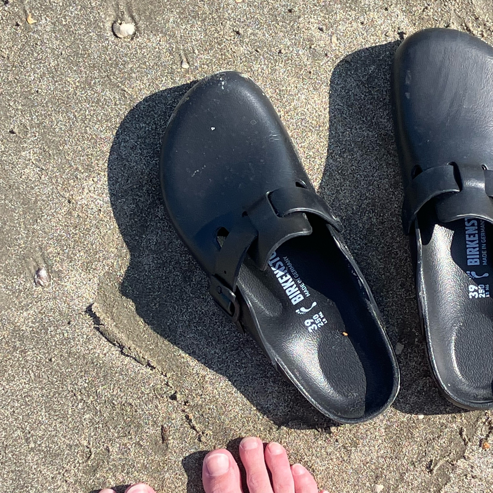 Big fan of these Bostons—and all my Bostons. 😍