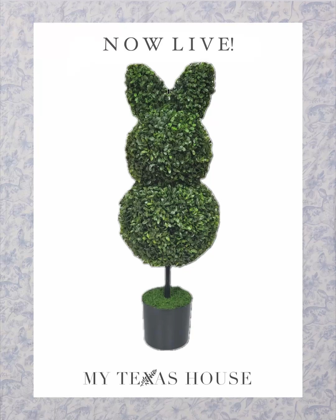 These items are now live! More will be coming online over the next day! 

#LTKHome #LTKSaleAlert #LTKMostLoved