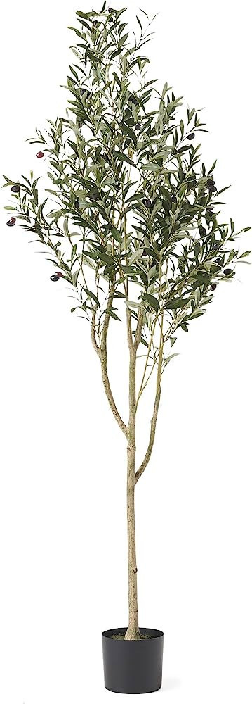 Christopher Knight Home 313747 Artificial Olive Tree, 6' x 2', Green | Amazon (US)