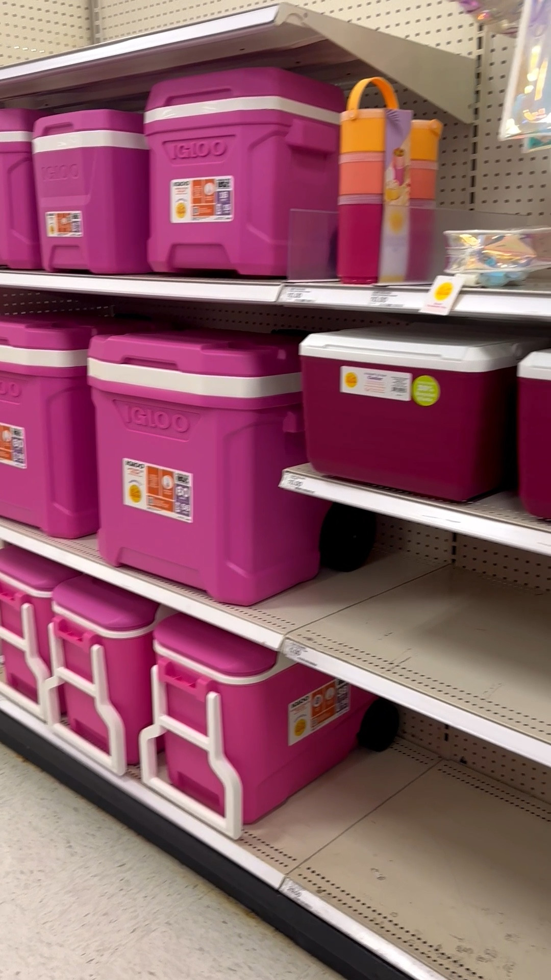 MUST HAVES for the summer! These coolers are the CUTEST! I love the colors

#LTKSeasonal #LTKHome