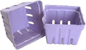 Pastel Colors Berry Basket- 10 Count (Purple) | Amazon (US)