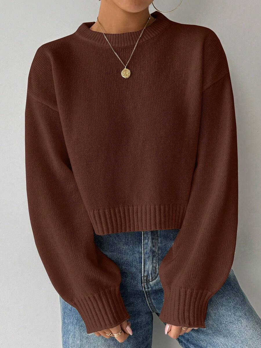 SHEIN LUNE Women's Solid Color Simple Casual Crew Neck Long Sleeve White Sweater | SHEIN