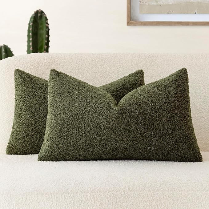 Foindtower Pack of 2, Curly Faux Fur Decorative Throw Pillow Covers Soft Plush Cushion Case with ... | Amazon (US)