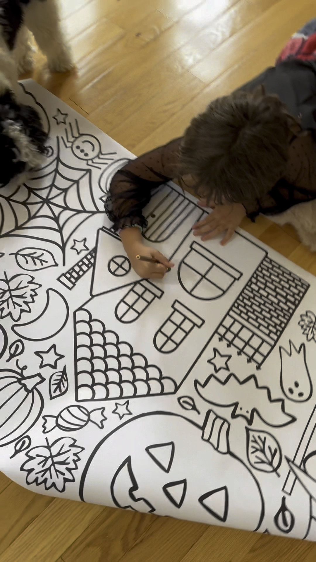 🎃✨ Keep the Halloween spirit alive with the Tiny Expressions Giant Coloring Poster! 🖍️👻 

This 30" x 72" rolled banner offers hours of creaseless coloring fun! Perfect for parties, school events, or family activities, it encourages teamwork and creativity. 

Grab yours today and let the Halloween magic begin! 🍬🕷️ #HalloweenFun #KidsActivities #TinyExpressions

#LTKSeasonal #LTKKids #LTKVideo