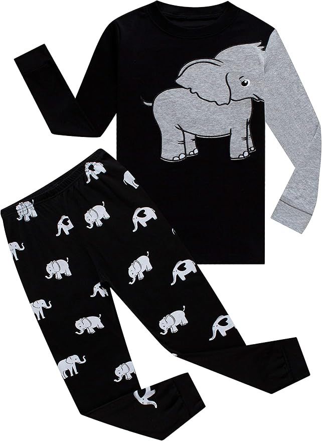 Family Feeling Dinosaur Little Boys Kids Pajamas Sets 100% Cotton Pjs | Amazon (US)