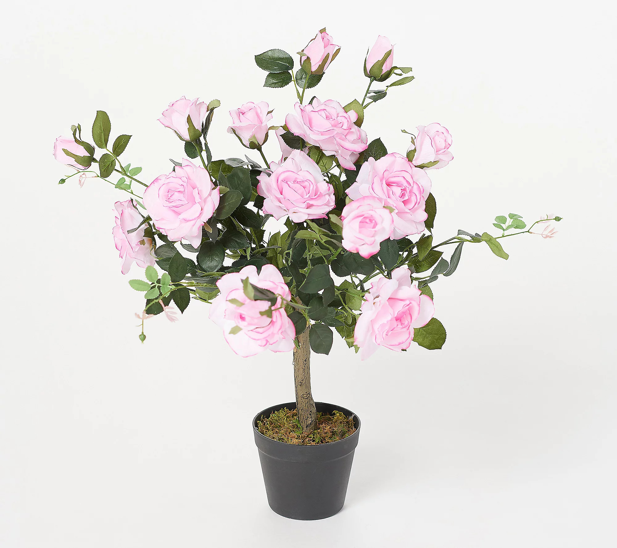 As Is Wicker Park 27"" Faux In/Outdoor Rose Bush in Pot | QVC