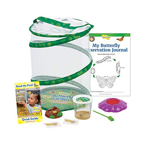 Butterfly Garden: Original Habitat and Live Cup of Caterpillars with STEM Butterfly Journal – L... | Amazon (US)