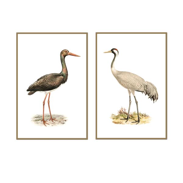 Vintage Neutral Bird Pair | Urban Garden Prints