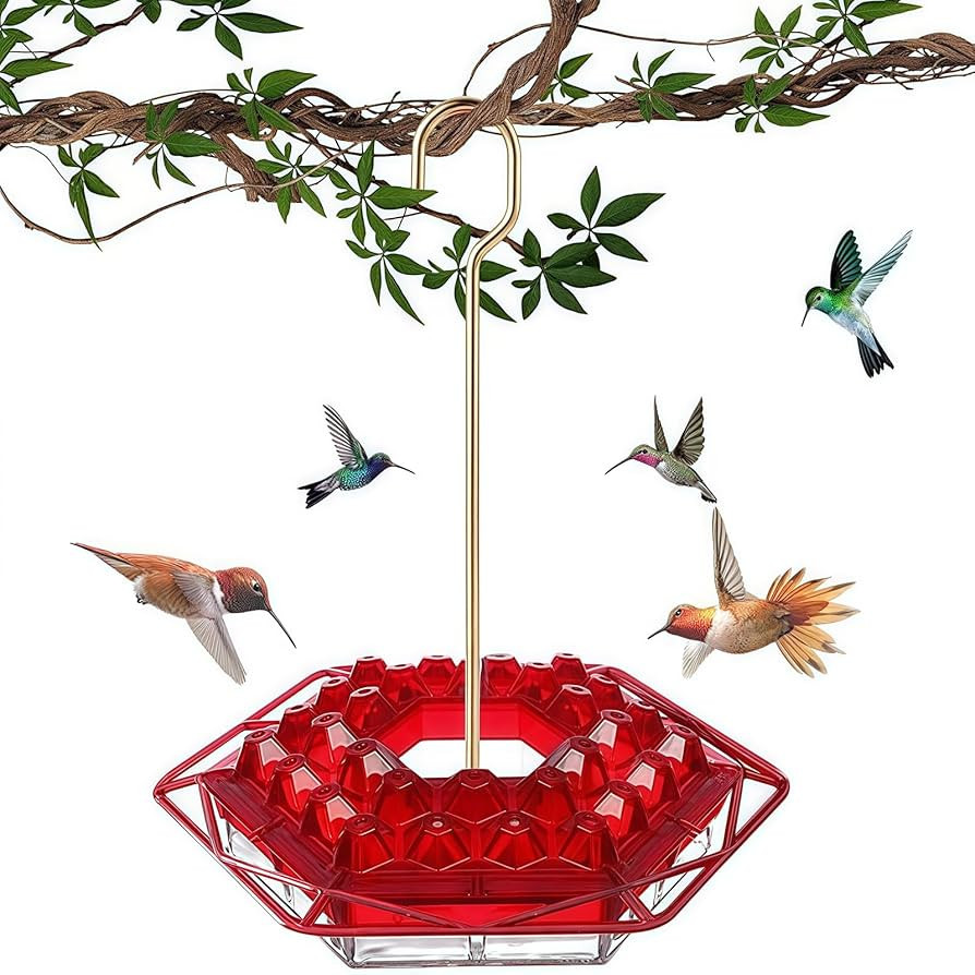 Hummingbird Feeder with Ant-Proof Moat Hummingbird Feeder, Easy to Clean and Refill Includes Hang... | Amazon (US)