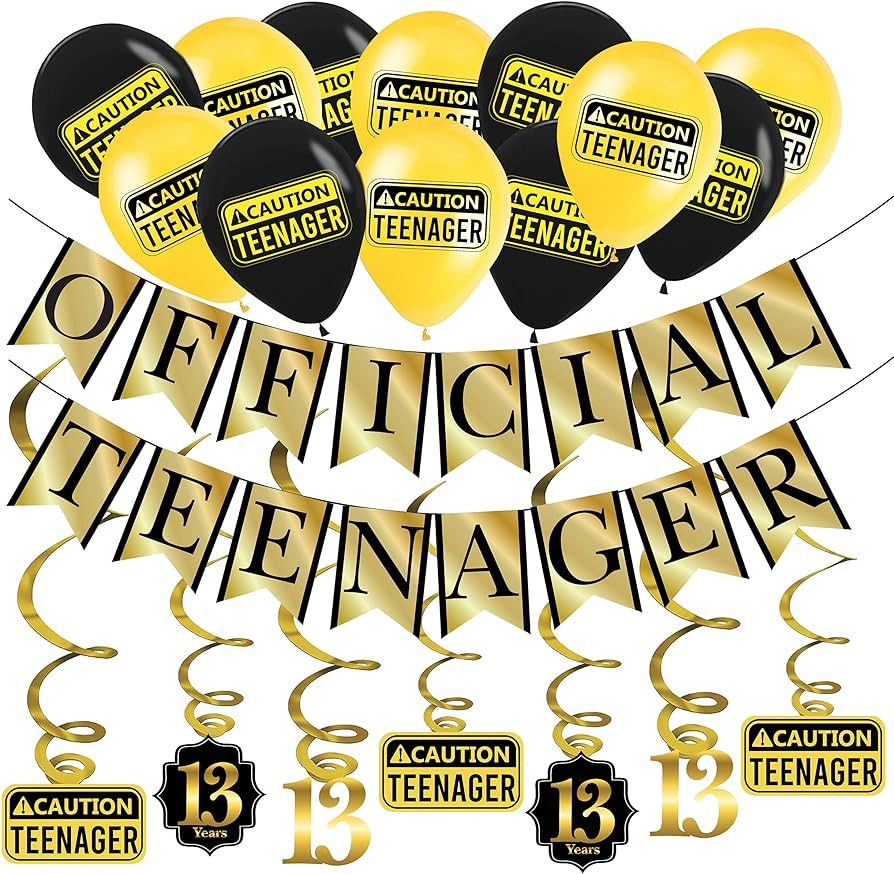 Funny Official Teenager 13th Birthday Party Pack - Gold & Black 13th Birthday Party Supplies, Dec... | Amazon (US)