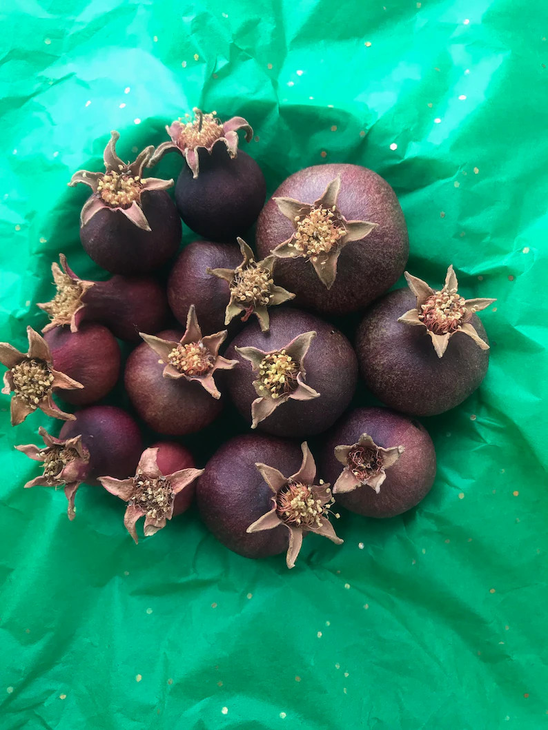 Small Organic Dried Pomegranates - Etsy | Etsy (US)