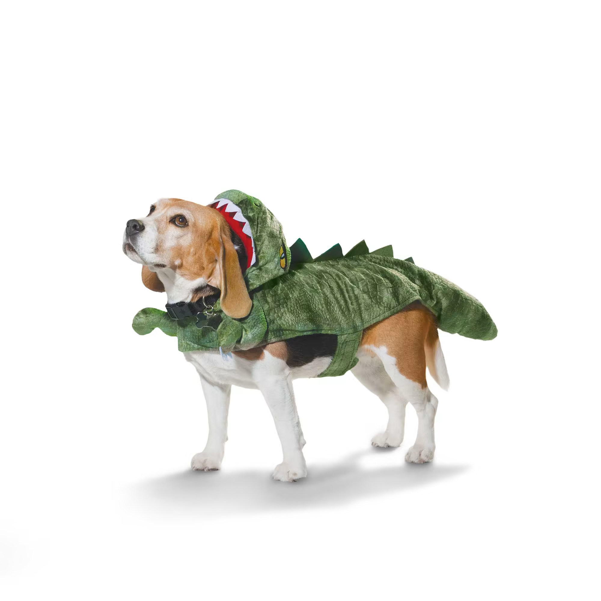 Bootique Dinosaur Dog & Cat Costume, XX-Small | Petco