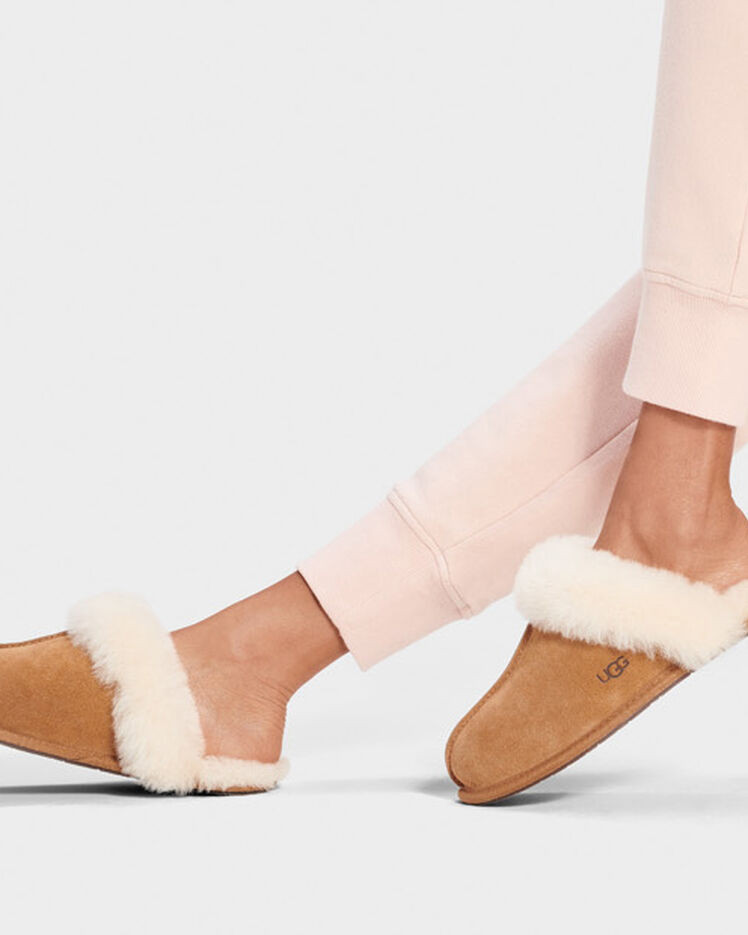 UGG House Slippers  | UGG (US)